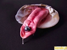 Sztuka nowoczesna :)