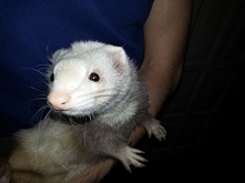 Nowy Członek rodziny :)