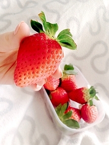 strawberry ❤️