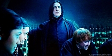 Snape :)