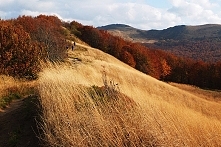 Bieszczady