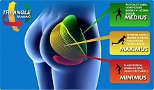 Zaczynasz trenować swoje pośladki przed latem? Zobacz jakie mięśnie musisz uaktywnić