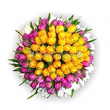 Ładnie dopasowane:)