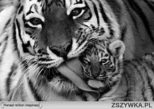 omomom ;3