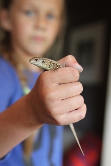 Amelka z jaszczurką