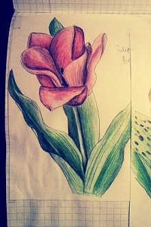 Zapraszam do zamawiania rysunków. w gre wchodza portrety, krajobrazy, roslinność :)więcej zapytań na fb " Art of Dominika " Pozdrawiam