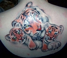 tatuaże dla dziewczyn tygrysy
