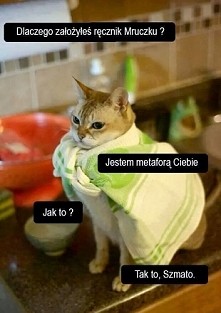Jak to? Tak to! :D