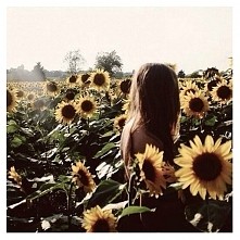 sun