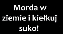 Morda w ziemie!