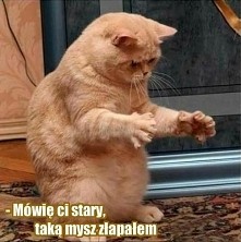 XD                          <3