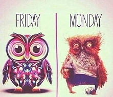 friday / monday