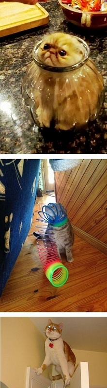 który waszym zdaniem najlepszy ?