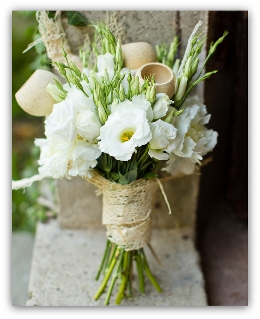 eustoma biała - zima