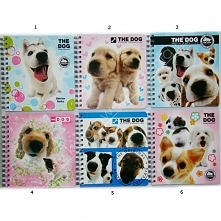 Kolejne z serii "The D...