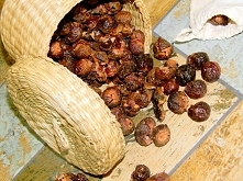 Ożeż ty orzeszku piorący