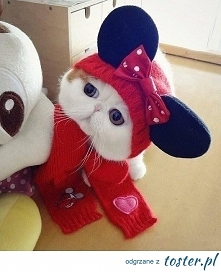 słodziak :*