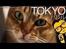 Kocia Kawiarnia - LOL? [Tok...