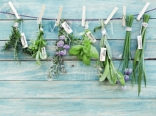 zioła,które kupić i sotosować