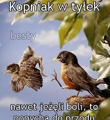 true