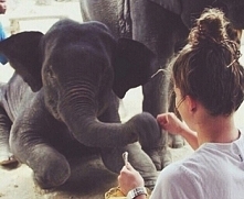 "Jeszcze raz dla ciebie z rąk wymykają mi się kwiaty. Zamiast strzępów - bo z tych mąk mógłbym drzeć na sobie szaty. 
Mógłbym, proszę ciebie, rwać włosy, co je mam nieduże,...