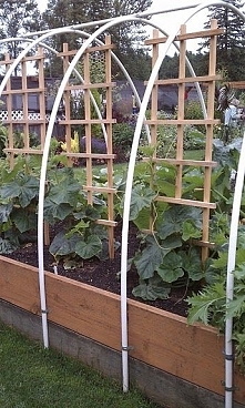 Raised beds done right.