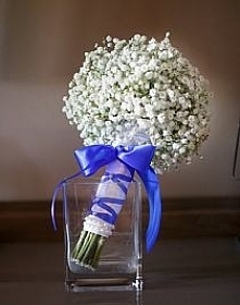 gipsówka z niebieskim akcentem