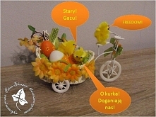 Uciekające kurczaki