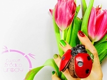 Na blogu znajdziecie wiosenną inspirację paznokciową z wykorzystaniem nowego lakieru „My gecko does tricks” z kolekcji wiosna - lato 2015 HAWAII OPI Poland.
Michał