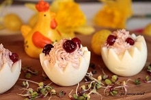 jaja faszerowane serem i żurawiną

Przepis po kliknięciu w zdjęcie!