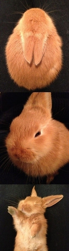 uroczy :D