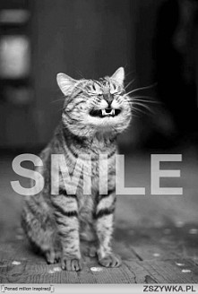 Smile :P