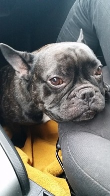 <3 ♡♡♡♡♡♡
XD