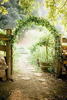 Ozdobne przejście , siatka i pnącza