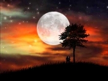 Seweryn Krajewski Kto kocha...