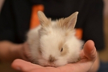 Mój mały skarb <3 KOKO ^^