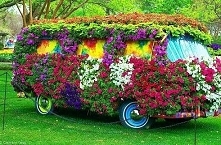 /ZNAJDŹ SWÓJ ÓSMY KOLOR TĘC...