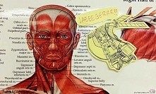 anatomia nie musi być taka ...