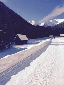 dolina chochołowska/Tatry