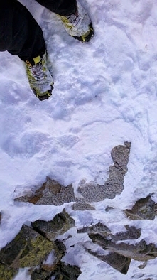 biegiem na kozi wierch