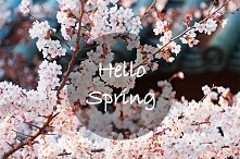hello spring <3