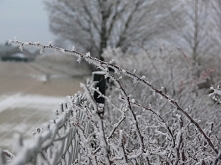 zima w moim obiektywie