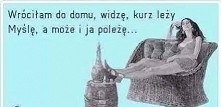 To się nazywa dobre wytłuma...