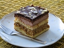 Ciasto Czekoladowy Słonecznik 
Składniki na biszkopt(blacha 22x 25 cm):
6 jaj
szklanka cukru
szklanka mąki pszennej
1 łyżeczka proszku do pieczenia
Białka oddzielamy od żółtek. ...