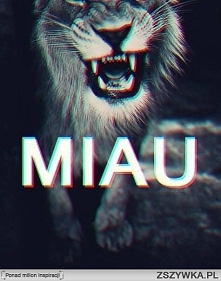 MIAU