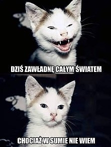 chociaż w sumie nie wiem