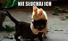 urocze... <3