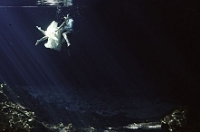 Podwodna sesja ślubna - jak się przygotować, co zabrać? -> Pretty Day