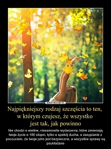 no własnie