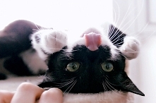 jak tu takiej nie kochać <3